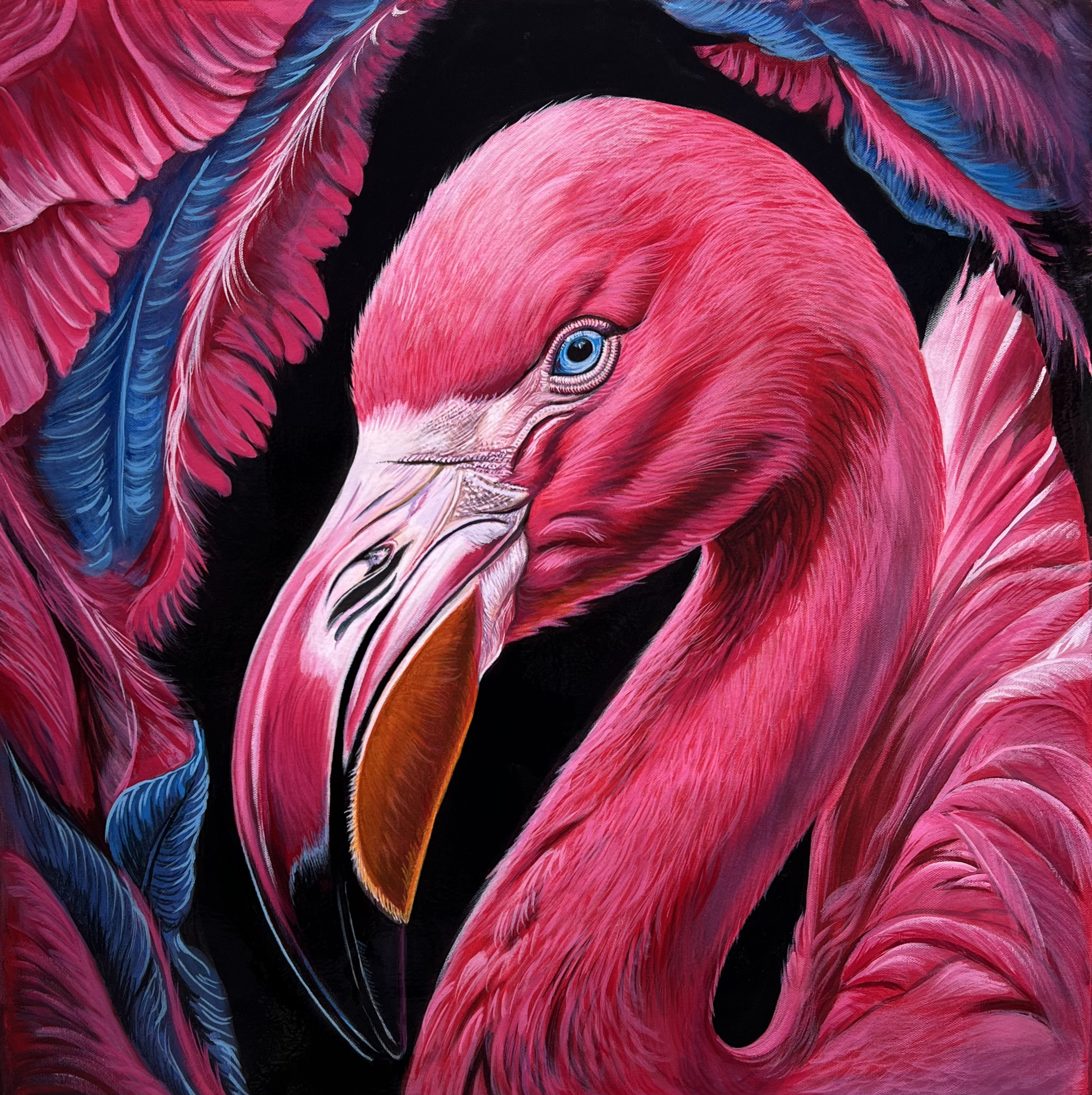 Shades of Flamingo