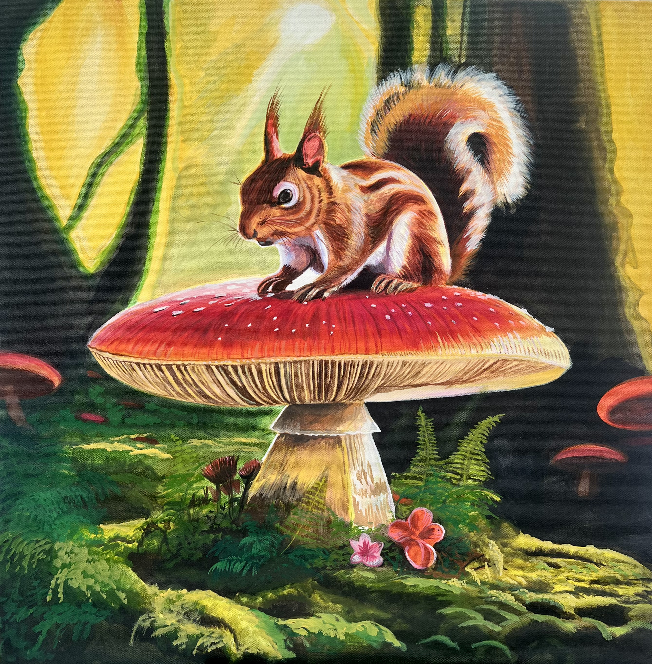 Bushy Tail in a Wonderland