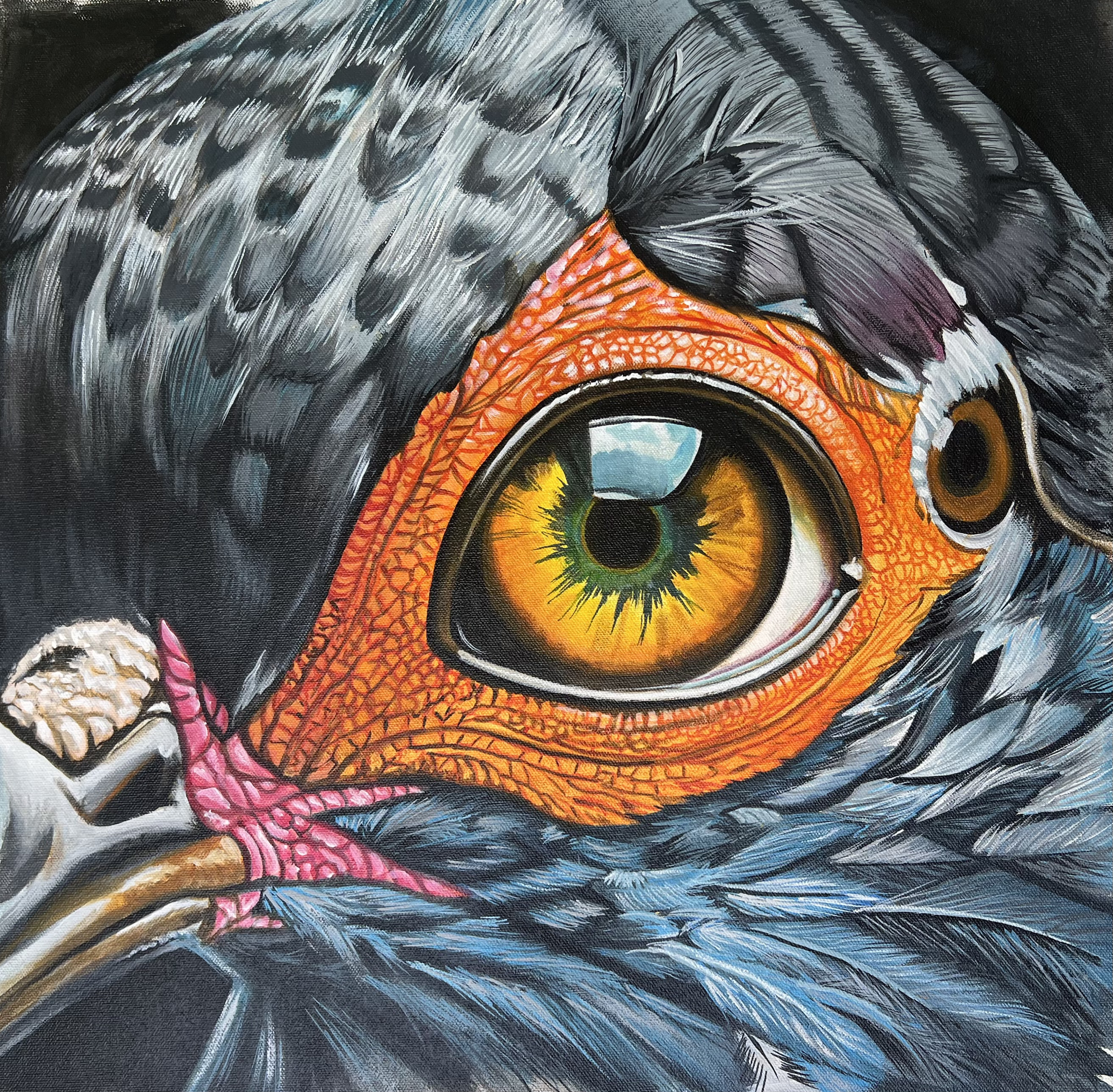 Amber Eye, Feathered Frame