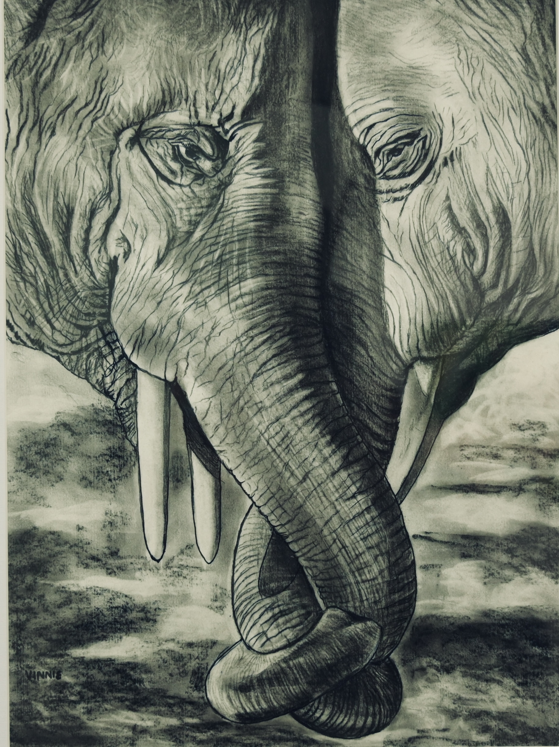 Elephant duo
