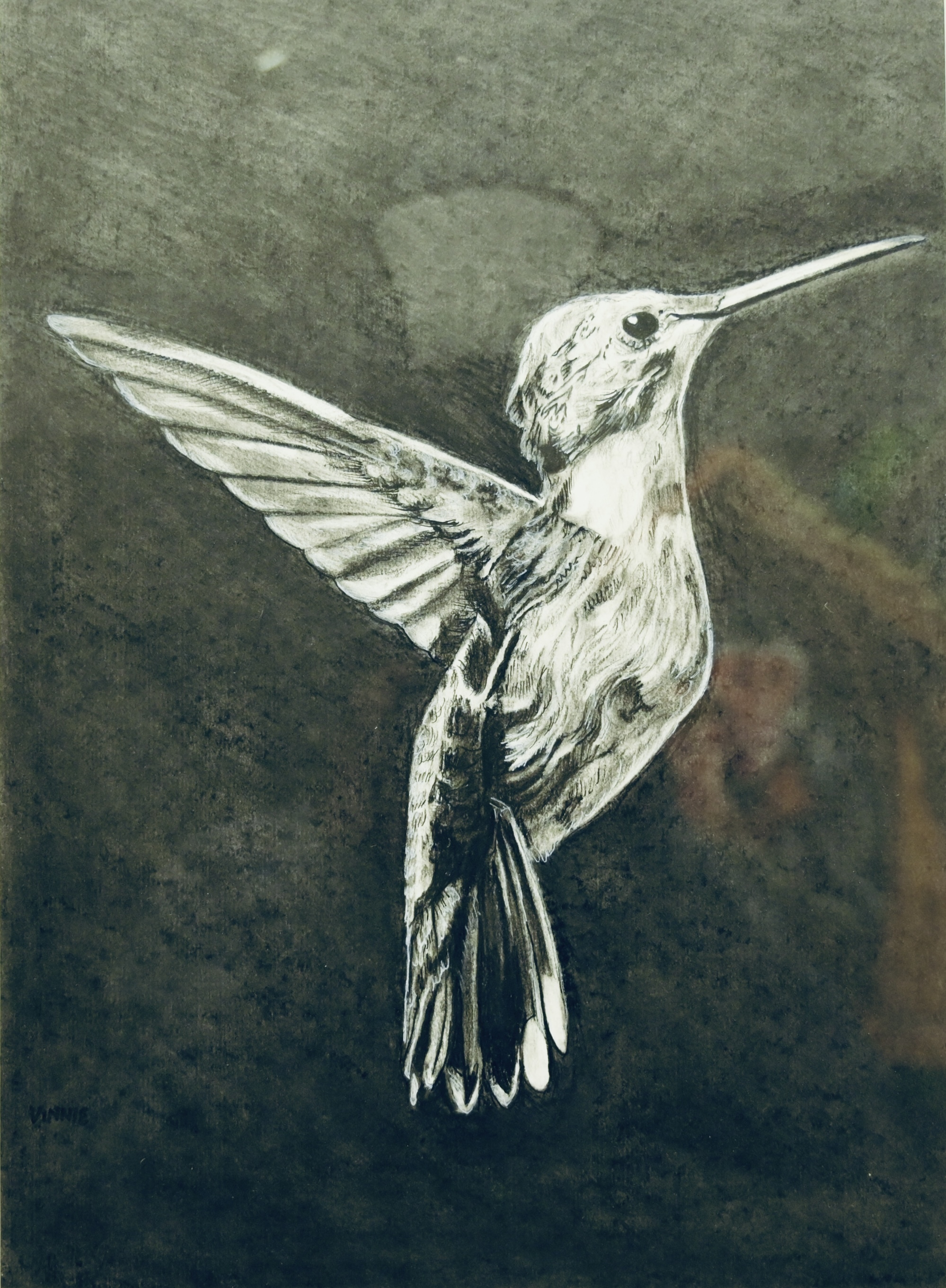 Humming bird